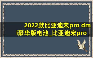 2022款比亚迪宋pro dm i豪华版电池_比亚迪宋prodm-i2024款电池容量